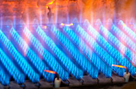 Shepway gas fired boilers